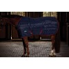 Weatherbeeta Comfitec 210D Channel Quilt Stable Standard Neck 100G