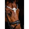 Schockemöhle x Isabell Werth Johnny Bridle