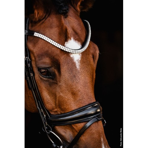 Schockemöhle x Isabell Werth Johnny Bridle