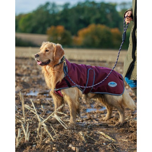 Weatherbeeta Rope Leather Dog Leash