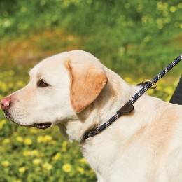 Weatherbeeta Rope кожаный Slip Dog Leash