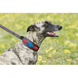 Weatherbeeta Lurcher поло кожаный ошейник для собаки