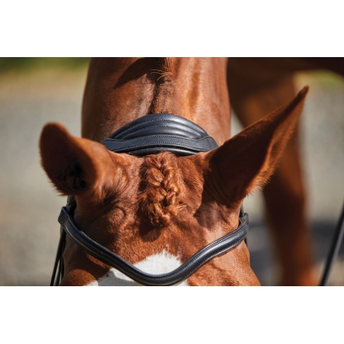 Collegiate Comfitec Grackle Bridle