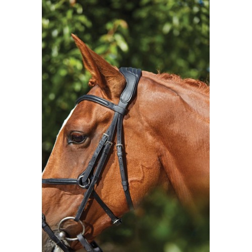 Collegiate Comfitec Grackle Bridle