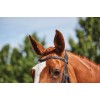 Collegiate Comfitec Grackle Bridle
