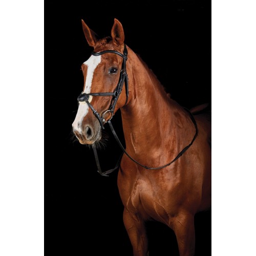 Collegiate Comfitec Grackle Bridle