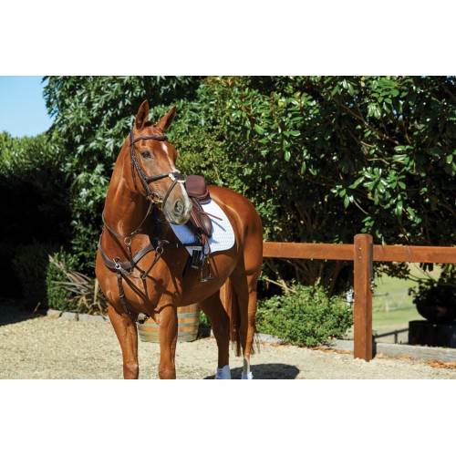 Collegiate Comfitec Grackle Bridle