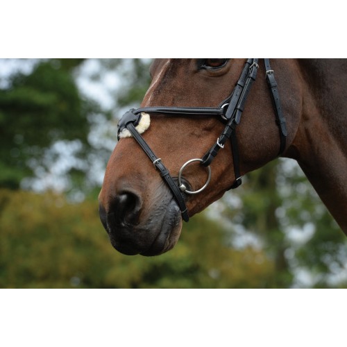 Collegiate Comfitec Grackle Bridle