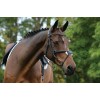 Collegiate Comfitec Grackle Bridle