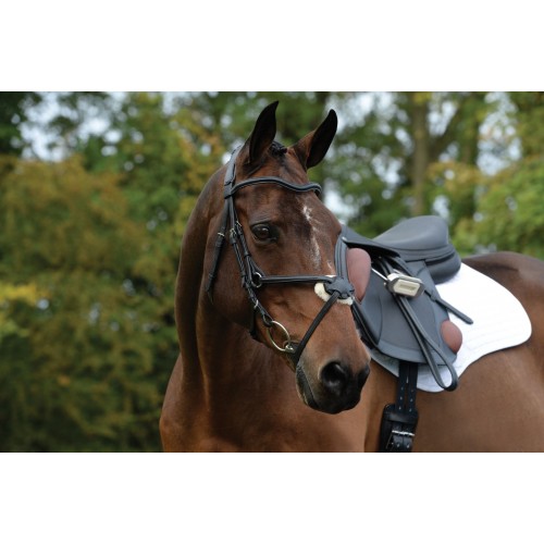 Collegiate Comfitec Grackle Bridle