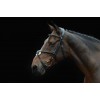 Collegiate Comfitec Grackle Bridle