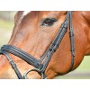 Collegiate Comfitec Opulux Plain Padded Hanoverian Flash Bridle