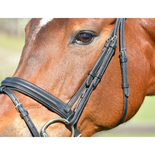 Collegiate Comfitec Opulux Plain Padded Hanoverian Flash Bridle