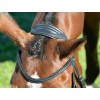 Collegiate Comfitec Opulux Plain Padded Hanoverian Flash Bridle