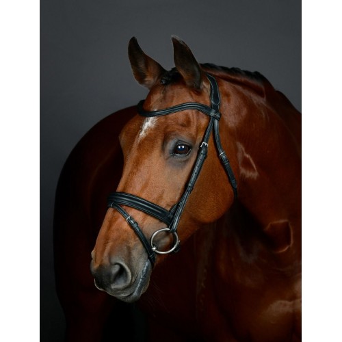 Collegiate Comfitec Opulux Plain Padded Hanoverian Flash Bridle