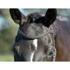 Collegiate Comfitec Opulux Plain Padded Hanoverian Flash Bridle