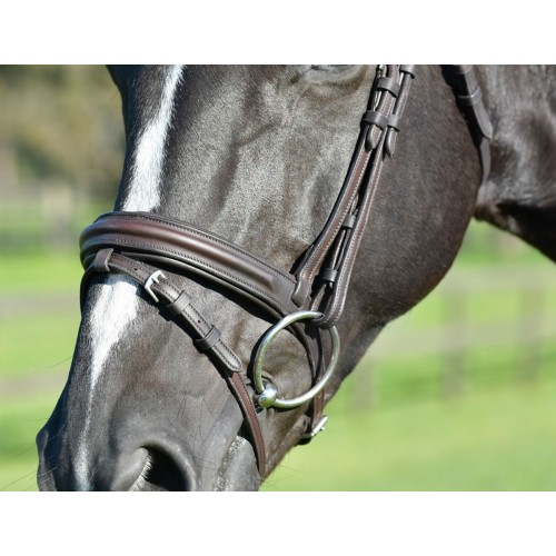 Collegiate Comfitec Opulux Plain Padded Hanoverian Flash Bridle