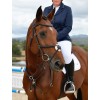 Collegiate Comfitec Opulux Plain Padded Grackle Bridle