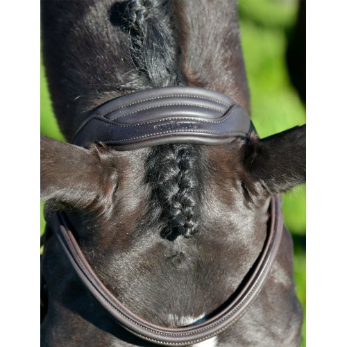 Collegiate Comfitec Opulux Plain Padded Grackle Bridle