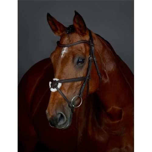 Collegiate Comfitec Opulux Plain Padded Grackle Bridle