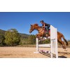 Weatherbeeta Tough-Tec Prime Open Front Tendon Boots