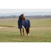 Weatherbeeta Comfitec Ultra Turnout Detach-A-Neck 100G