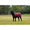 Weatherbeeta Comfitec Premier Deluxe Waterproof Dog Coat