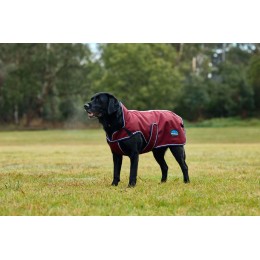 Weatherbeeta Comfitec Premier Deluxe водонепроницаемый пальто для собак