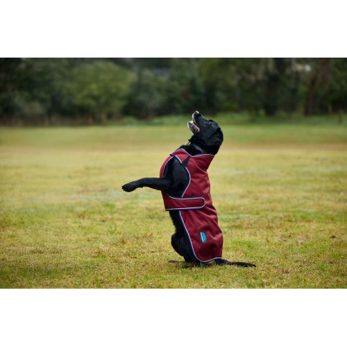 Weatherbeeta Comfitec Premier Deluxe Waterproof Dog Coat
