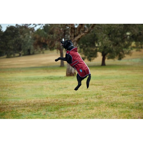 Weatherbeeta Comfitec Premier Deluxe Waterproof Dog Coat