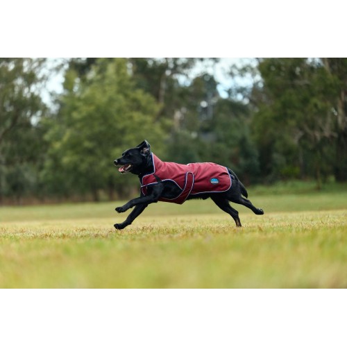 Weatherbeeta Comfitec Premier Deluxe Waterproof Dog Coat