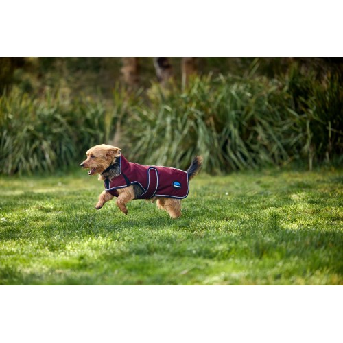 Weatherbeeta Comfitec Premier Deluxe Waterproof Dog Coat