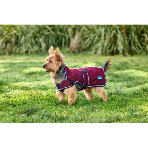 Weatherbeeta Comfitec Premier Deluxe Waterproof Dog Coat