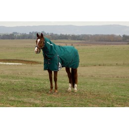Weatherbeeta Comfitec Plus Dynamic попона Detach-A-капор 220G
