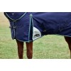 Weatherbeeta Comfitec Plus Dynamic Turnout Detach-A-Neck 100G