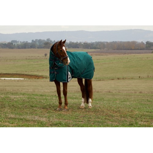 Weatherbeeta Comfitec Plus Dynamic Turnout Detach-A-Neck 100G
