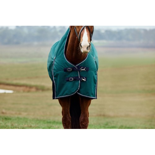 Weatherbeeta Comfitec Plus Dynamic Turnout High Neck 220G