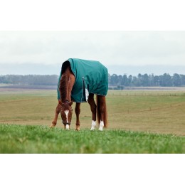 Weatherbeeta Comfitec Plus Dynamic попона с высоким воротом 100G