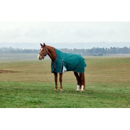 Weatherbeeta Comfitec Plus Dynamic попона с высоким воротом 100G