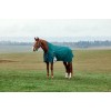 Weatherbeeta Comfitec Plus Dynamic Turnout High Neck 220G