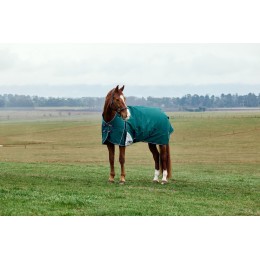 Weatherbeeta Comfitec Plus Dynamic попона с высоким воротом 100G