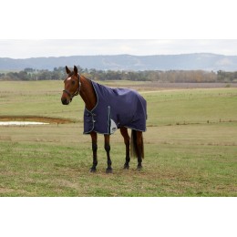 Weatherbeeta Comfitec Plus Dynamic попона с высоким воротом 100G