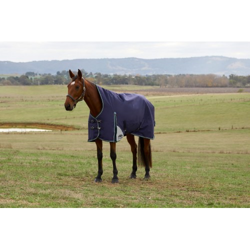 Weatherbeeta Comfitec Plus Dynamic Turnout High Neck 100G
