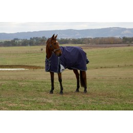 Weatherbeeta Comfitec Plus Dynamic попона с высоким воротом 100G