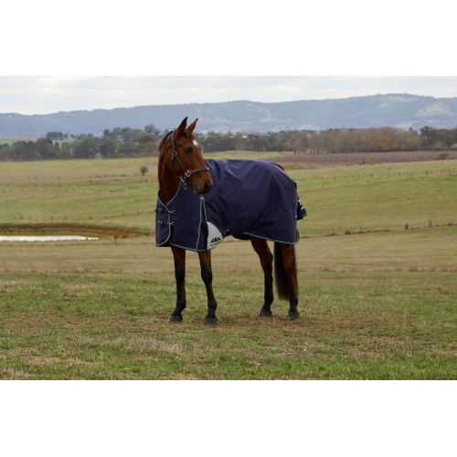 Weatherbeeta Comfitec Plus Dynamic Turnout High Neck 220G