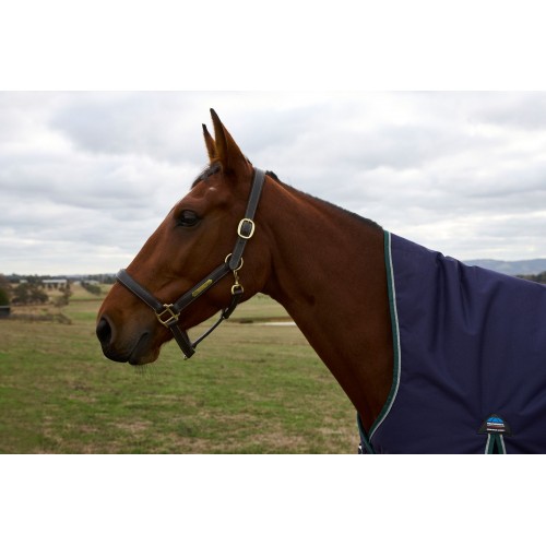 Weatherbeeta Comfitec Plus Dynamic Turnout High Neck 220G