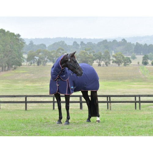 Weatherbeeta Comfitec Essential Turnout Detach-A-Neck 50G