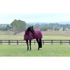 Weatherbeeta Comfitec Essential Turnout Combo 220G
