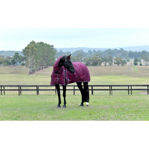 Weatherbeeta Comfitec Essential Turnout Combo 220G