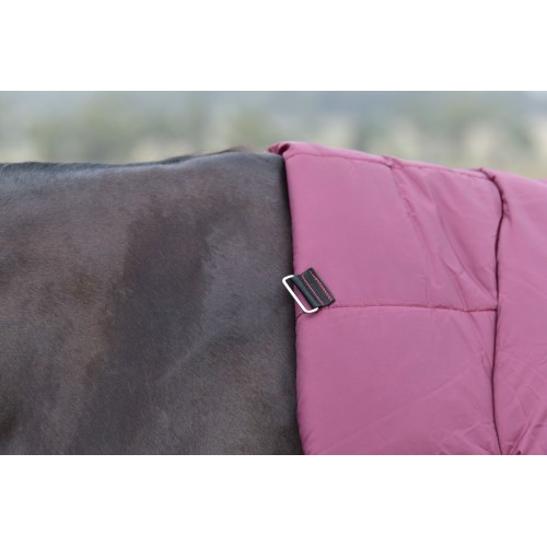 Weatherbeeta Comfitec Essential Turnout Combo 220G